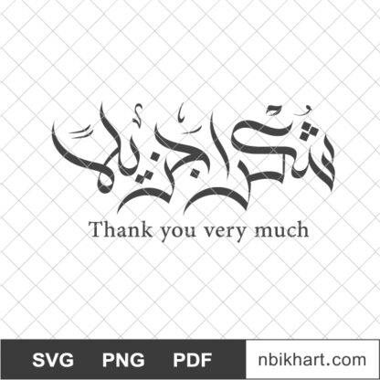 Thank you very much in Arabic, Shukran Jazeelan, شكرا جزيلا